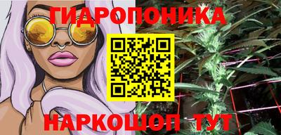 гидра Комсомольск-на-Амуре