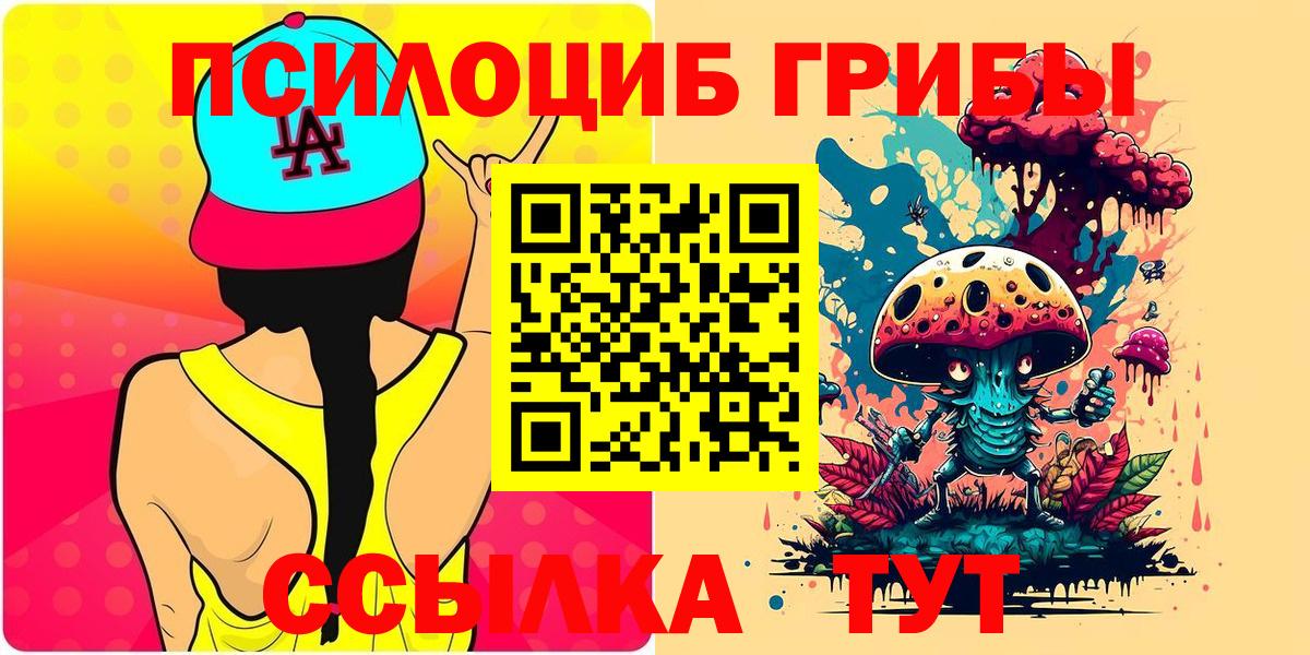 Псилоцибиновые грибы Psilocybine cubensis  Псилоцибиновые грибы мицелий  Жигулёвск  где продают   Вход с VPN 